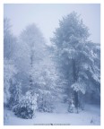 Silence