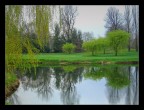 al parco