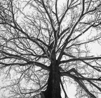 from below ;/) from below ;/)