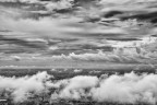 Nubi_DSC1313.jpg