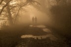 verso la luce
