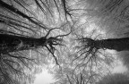 verso il cielo