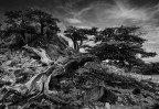 Patagonia - Argentgina