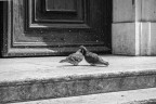 Love in Venice