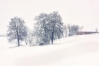 Let it snow!