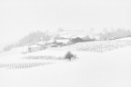 Let it snow! #2