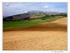 Colline umbre!