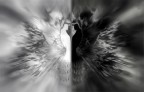 Enantiodromia   (corsa verso lopposto )