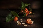 Clementine Clementine
