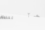 Let it snow! #6