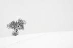 Let it snow! #7