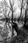 Lungo il Fiume