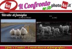 Il confronto nr.13 Il confronto nr.13