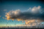 Riflessi di un sogno
