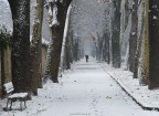 nel silenzio...