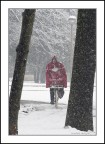 in bici verso casa...