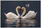 Tempo di amori