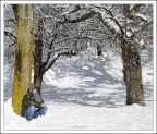 dopo la nevicata, il sole....
