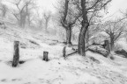 neve e vento