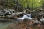 In-the-fairy-forest_DSC8423.jpg