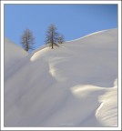 .Silenzio.