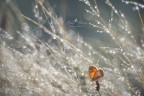 bagno di luce