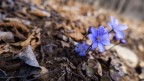 Aria di primavera