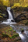 autunno