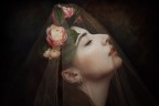 Lucia