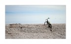 Monfalcone img.064