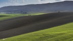 Colori di Marzo..2
