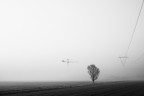 Il mattino