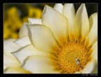 non so perch ma ho provato questo taglio...
Ogni commento, critica o anche complimento  ben accetto... voglio migliorare quindi non siate troppo morbidi :)