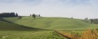 ST