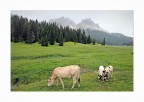 Dolomiti img.046