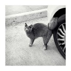 03042021IMG_E1117-BN3
