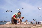 Essaouira 2016
