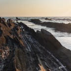 Lingue Rocciose..