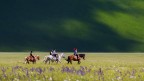 Castelluccio di Norcia