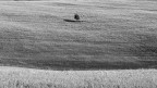 Giornata della Terra