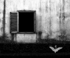 dal sogno