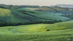 Colori primaverili