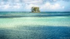 L'isola