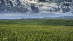 Temporali in arrivo..