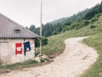 Malgari