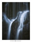 Acqua  vita