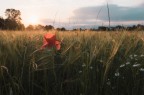 Clich di primavera