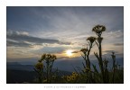 fino alla sera-
il sole brilla in cielo
e scalda i cuori