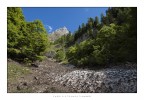 Parco Nazionale Dolomiti Bellunesi 
CAI 520