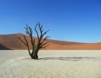 Deadvlei